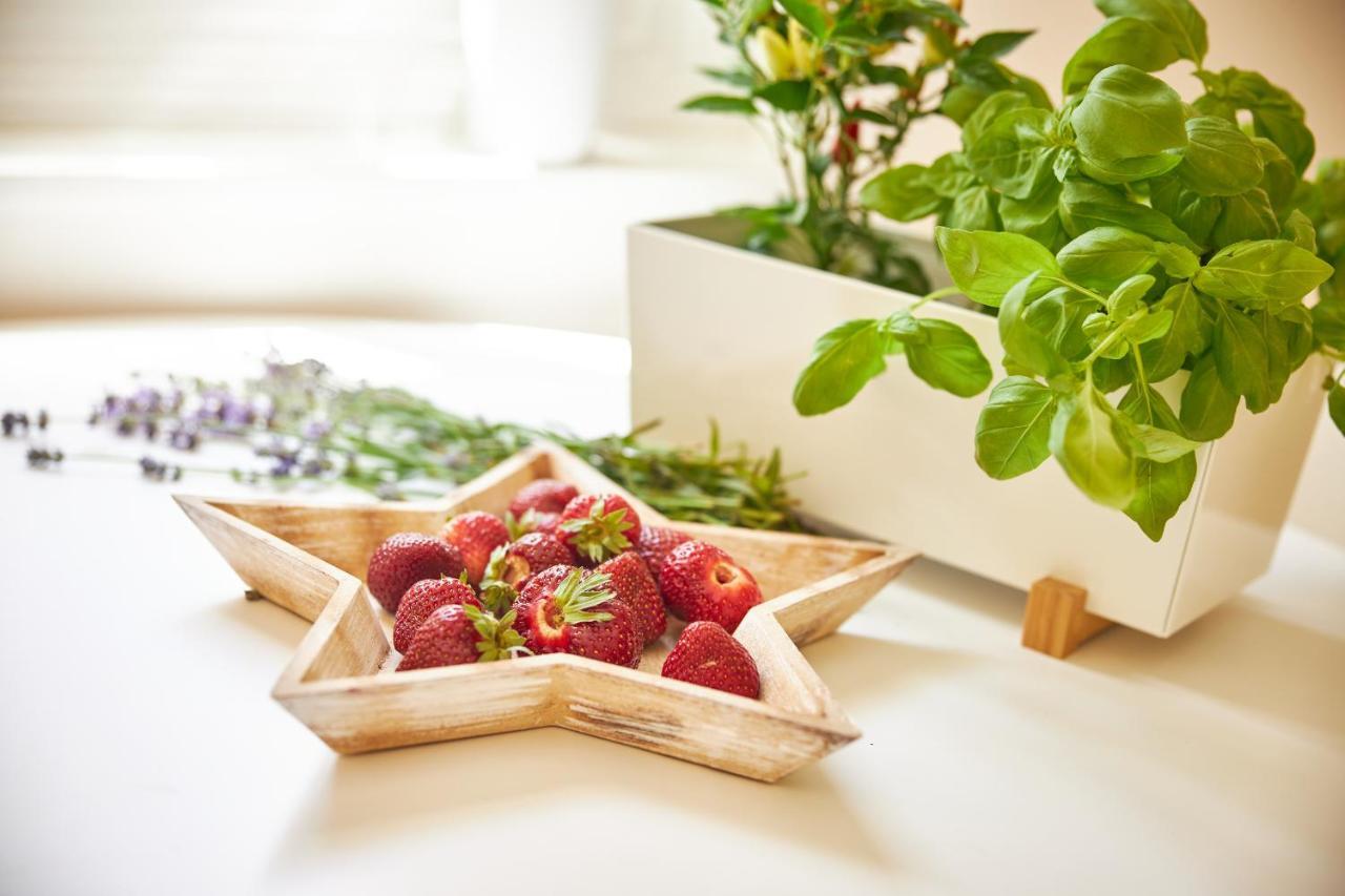 Apartmany Challupa Horní Maršov Екстериор снимка