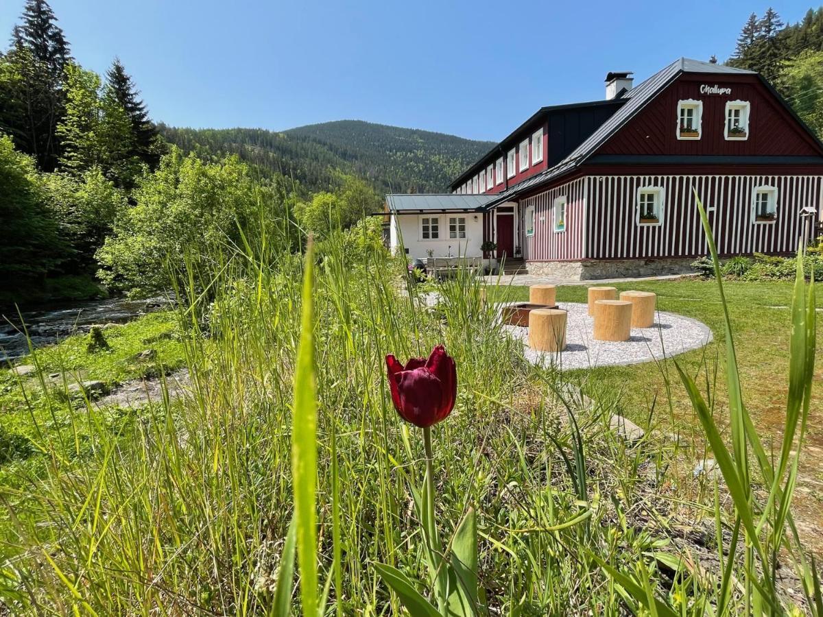 Apartmany Challupa Horní Maršov Екстериор снимка